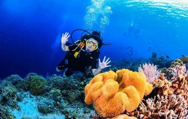 林青霞只是东方不败，其实最美是任盈盈和岳灵珊？游戏画面